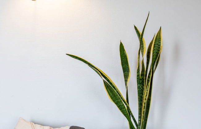 Natuurlijk de Veenhoop - Foto 15