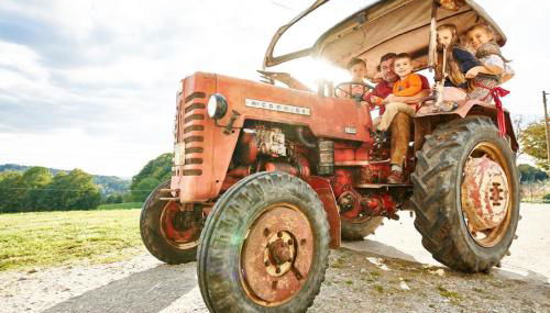 Ferienhof Stetter - Foto 2, Other