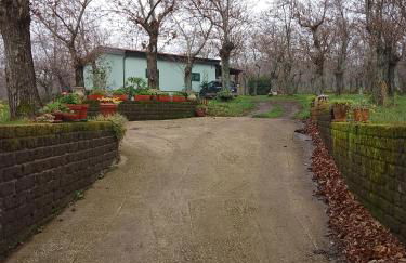 Chalet immerso nel Bosco - Foto 1