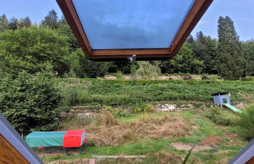 Willkommen im Nordschwarzwald - Foto 15