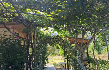 Rivers' house Tzoumerka - Foto 16