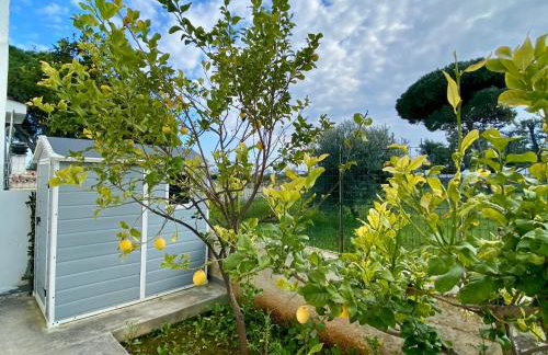 A casa di Rosy - Foto 32