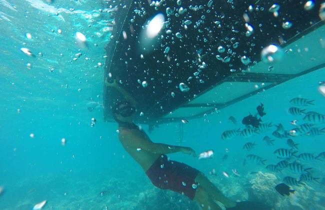 Giro in barca con fondo trasparente - Foto 7