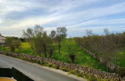 El Mirador de Segovia - Foto 29