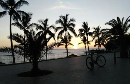 Delfin Playa - Foto 11