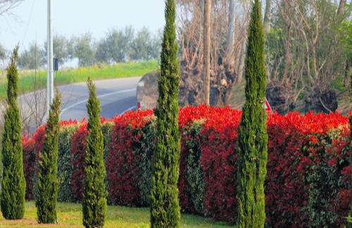 La Colombara - Fra i colli a 5 minuti dall'autodromo - Foto 36