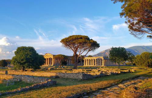 IL GIARDINO DI ATHENA - Foto 4