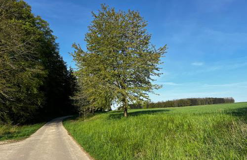 Klosterberghaus - Kontaktloser Check-in - Foto 49