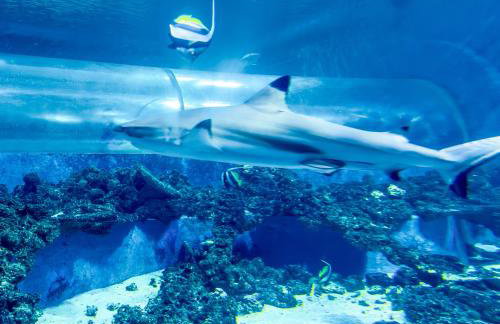 Apartment 19 - Aquapark Reda - Foto 9