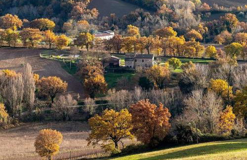 Da Foschetta - Foto 65