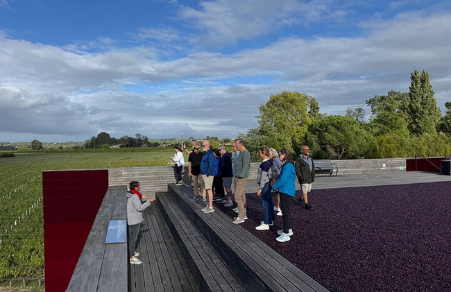 "Explora Saint-Émilion en bicicletas eléctricas: Grupo pequeño, excursión de medio día" - Foto 24