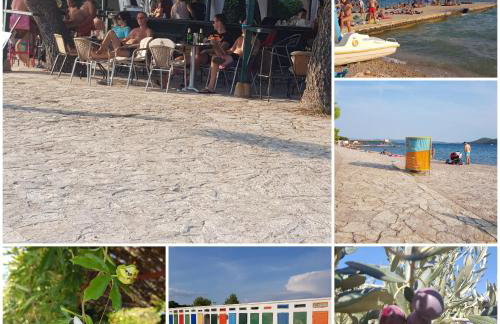 Apartman Karla - Foto 35