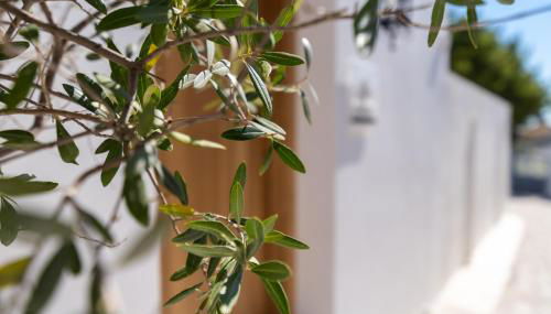 Lindian Ethos - Photo 4