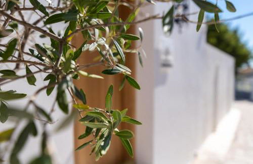 Lindian Ethos - Photo 4