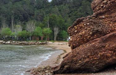 Casa Serra & Mar - Foto 27