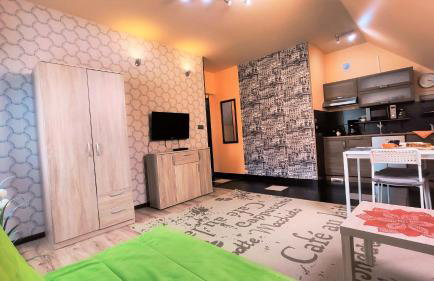 Apartamenty Pilsko Korbielów komfortowe mieszkania dla rodzin i narciarzy w Beskidach - Foto 3