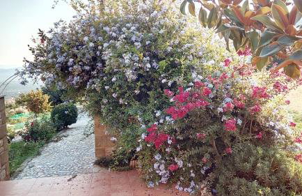 Villa Myrto - Foto 11