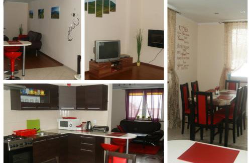 Waszczyszynówka Bieszczady - Foto 21