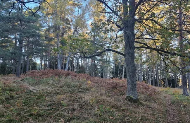 4 Person Holiday Home in Ingaro-by Traum - Photo 10