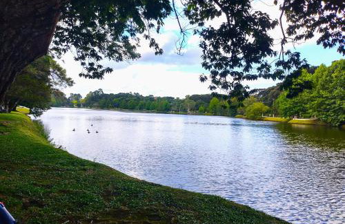 Cabanas Pôr do Sol - São Chico - Foto 57