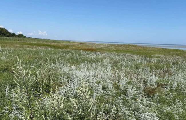 8 Person Holiday Home in Orsted-by Traum - Foto 8