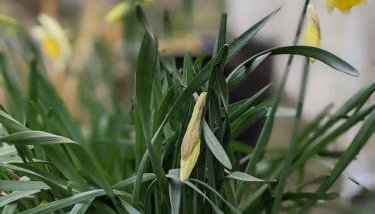 Eira's Cottage - Foto 4