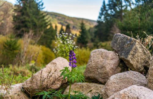 Feriendomizil am Rössleberg, Hinterzarten - Foto 24