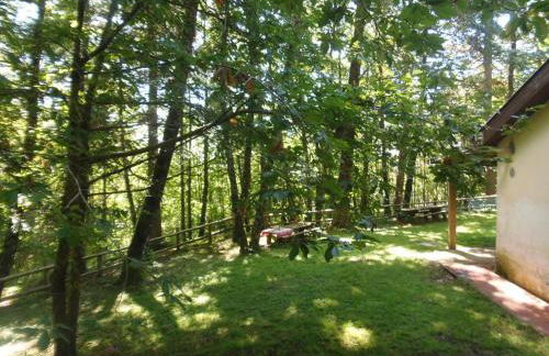 Una pineta sul mare - Riviera dei tramonti - Spiaggia a 300 m - Foto 20