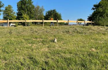 Naturnahes, neu möbl.Apartment, hundefreundlich - Foto 13