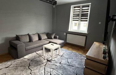 Apartament w Centrum Żor - Photo 8