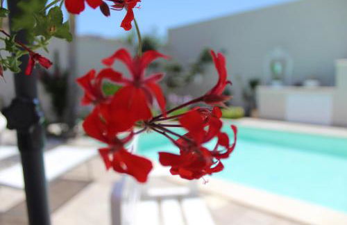 Appartamento da Ciuruzzo - Foto 13