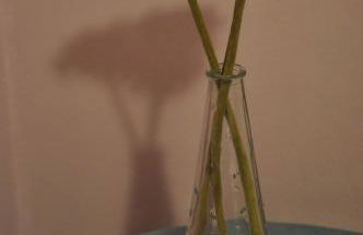 Casa Rural Cancias - Photo 37