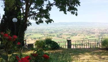 Residenza Messer Pajola - Foto 5, Garden