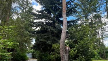 Ferienhaus Reetdach 1300qm Privatgrundstück Bootssteg Sauna Templin Lübbesee Uckermark Erholung pur Seenplatte - Foto 4