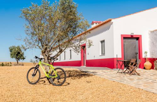 Fontes Bárbaras Enoturismo - Foto 27