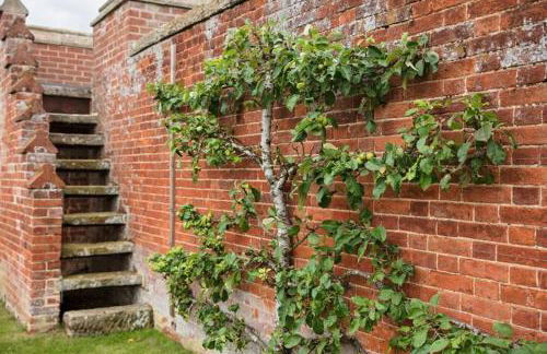 Priory Barn - Photo 17