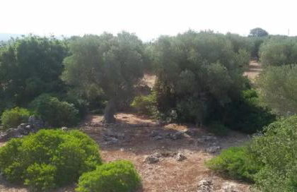 Infinity Pool Villa - Foto 54