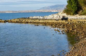 Wohnen direkt am Meer - Foto 17