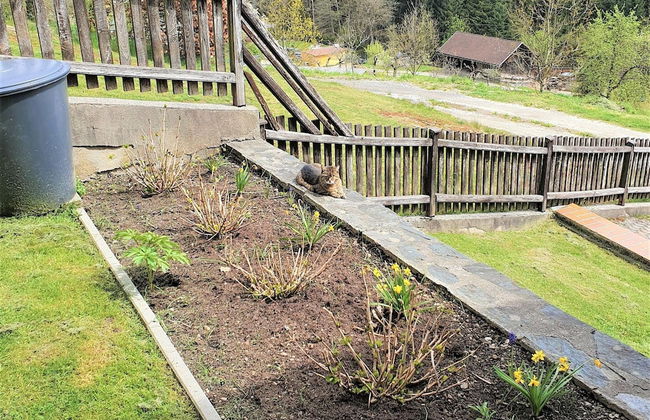 Apartment by Worthersee With Pool - Photo 29