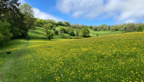 Fern Cottage Coach House - Foto 3