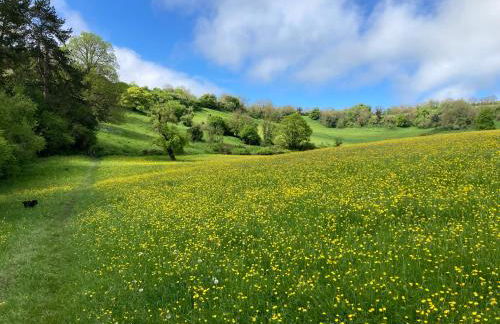 Fern Cottage Coach House - Photo 3