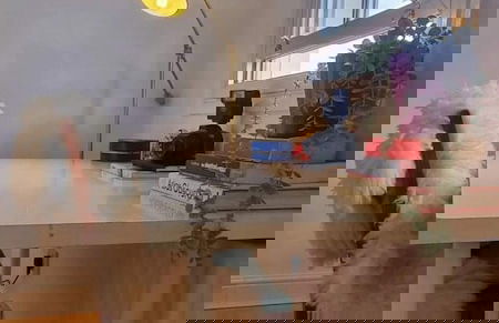 Stylish 3 Bedroom Townhouse in Brockley With Large Garden - Foto 38