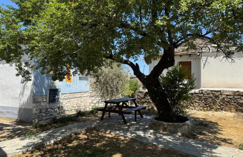 Katoi - Traditional House - Foto 37