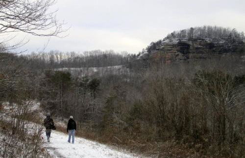 Alice Rocks - Pet Friendly, Firepit, WiFi - Foto 21