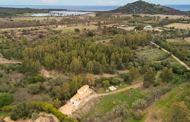 Eucalipto - Photo 31