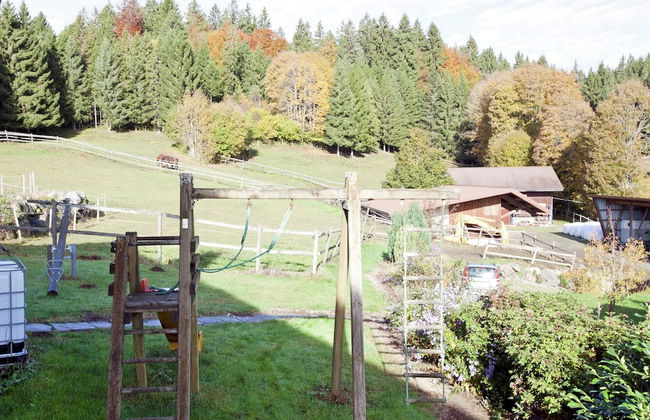 Apartment in Dachsberg-urberg - Foto 17