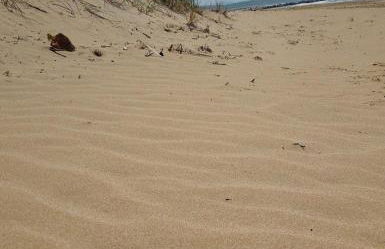 Villa Cipollazzo - Foto 23