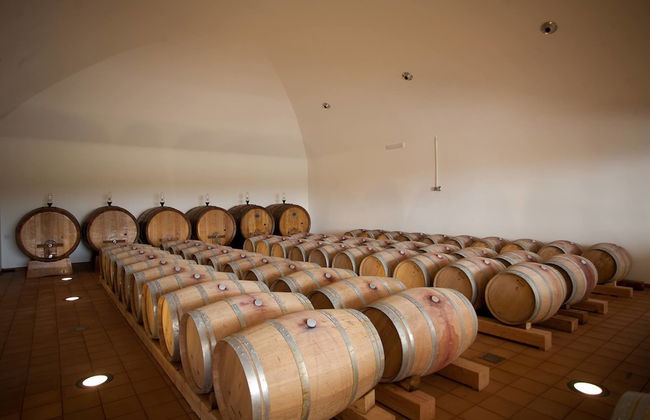 Fattoria di Fubbiano - Photo 11