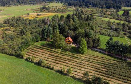 Vacation house Kula - Foto 20