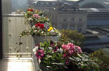 Sweet Home Panoramique Sacré Coeur - Foto 25